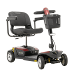 Pride Gogo Endurance